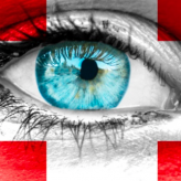 A Preview Of The Swiss Political Structure A Preview Of The Swiss Political Structure